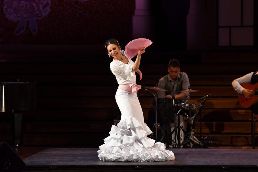 Barcelona: Gran Gala Flamenco Show Entry Ticket - Who should book this flamenco show?