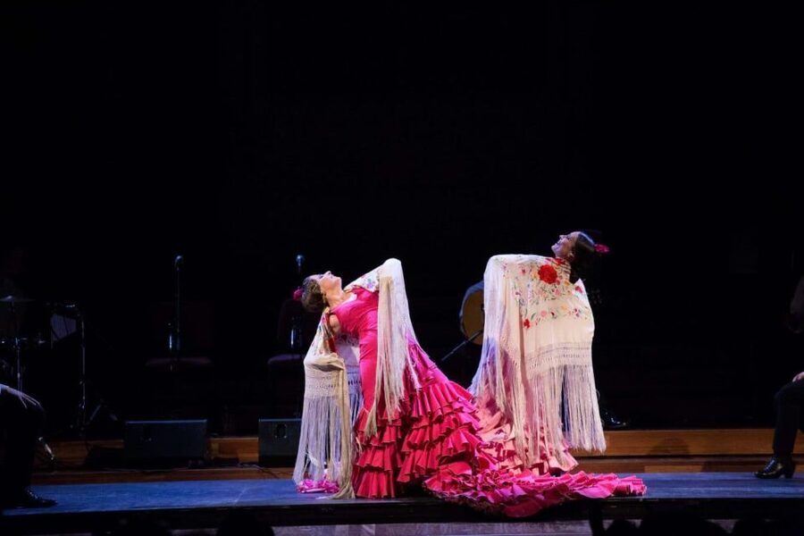 Barcelona: Gran Gala Flamenco Show Entry Ticket - Should you book Gran Gala Flamenco?