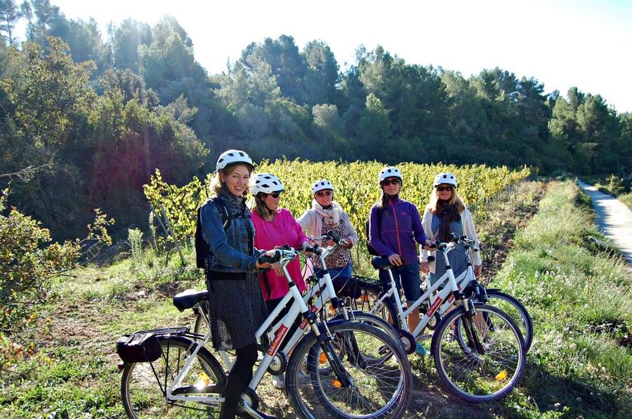 Barcelona: Guided Half-Day Wine and Electric Bike Tour - A family winery with four generations of experience
