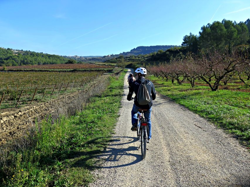 Barcelona: Guided Half-Day Wine and Electric Bike Tour - Three glasses of wine and cava