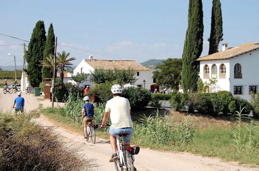 Barcelona: Guided Half-Day Wine and Electric Bike Tour - Price and value at $101