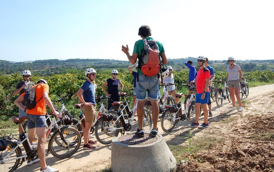 Barcelona: Guided Half-Day Wine and Electric Bike Tour - Who will enjoy this tour most