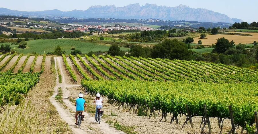 Barcelona: Guided Half-Day Wine and Electric Bike Tour - Getting comfortable on the electric bike