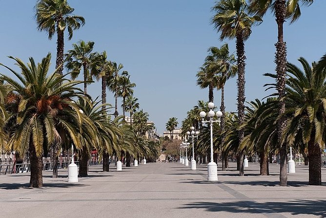 Barcelona Half-Day Sightseeing Private Tour - Park Güell, Gaudí above the city