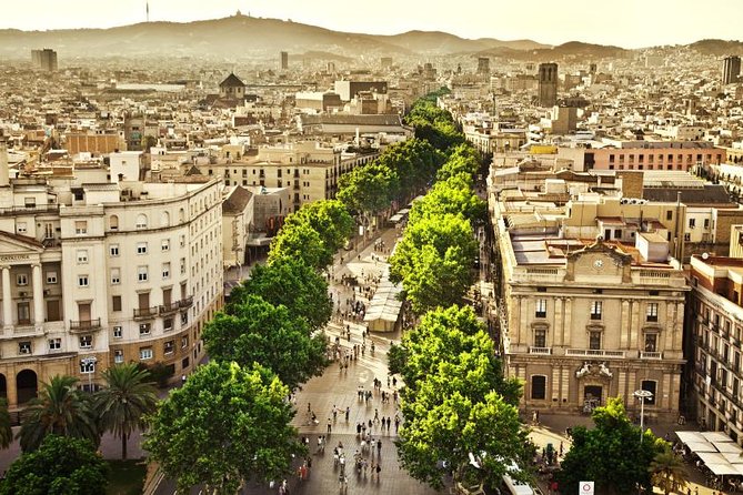 Barcelona Half-Day Sightseeing Private Tour - Sagrada Familia, the essential Gaudí choice