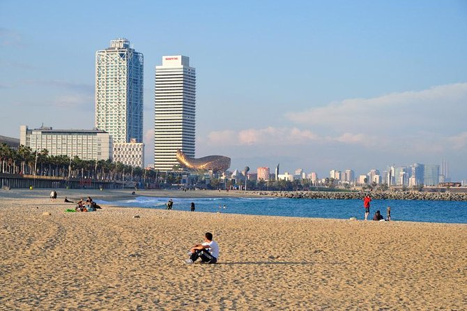 Barcelona Highlights Private Tour with Driver and Official Guide - The cathedral and Gothic Quarter on foot