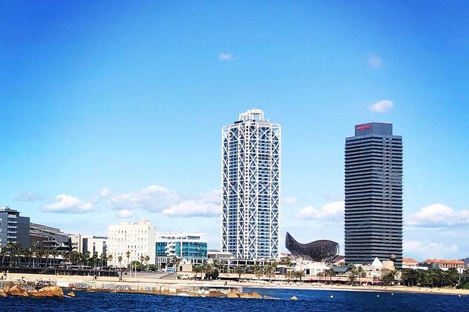 Barcelona Highlights Private Tour with Port or Hotel Transfers - Driver or licensed guide?
