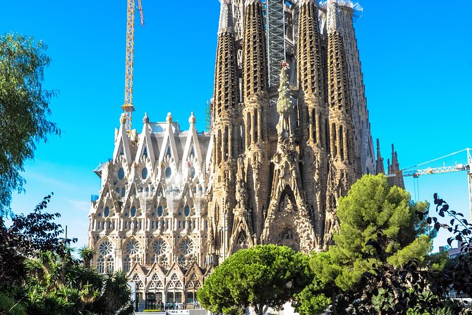 Barcelona Highlights & Sagrada Familia Tour: Priority Access - Montjuïc Hill: Barcelona from above