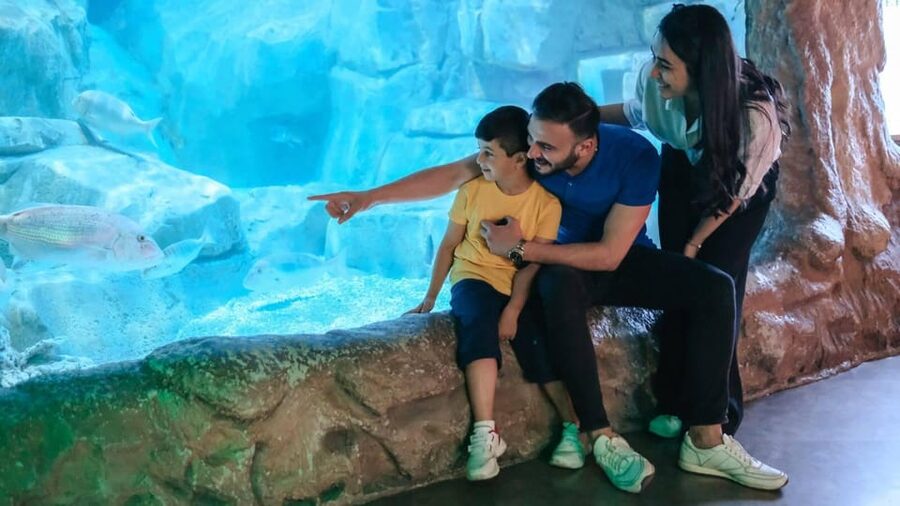 Barcelona: Hop-On Hop-Off Bus & Aquarium Tour - Key points at a glance