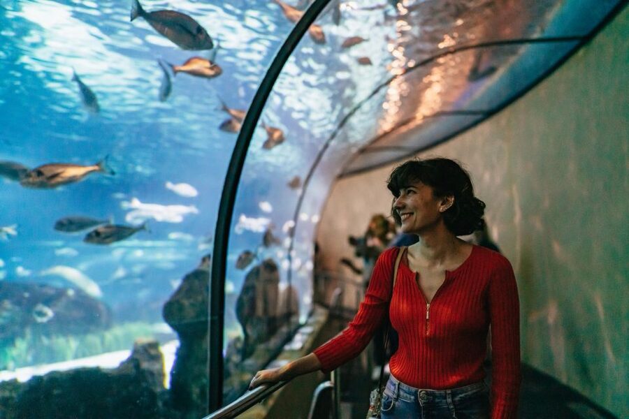 Barcelona: Hop-On Hop-Off Bus & Aquarium Tour - What the $73 Barcelona combo really gives you