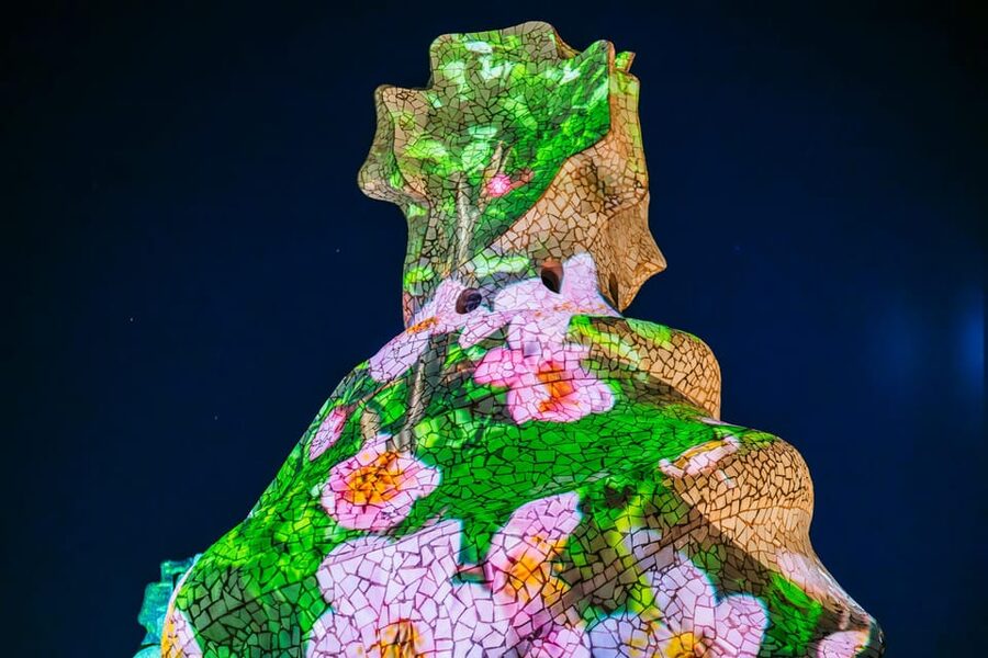 Barcelona: La Pedrera Night Experience - Cava at the end