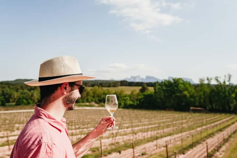 Barcelona: Montserrat and Winery Tour with Tapas or Lunch - Oller del Mas: wine, food, and a 10th-century setting