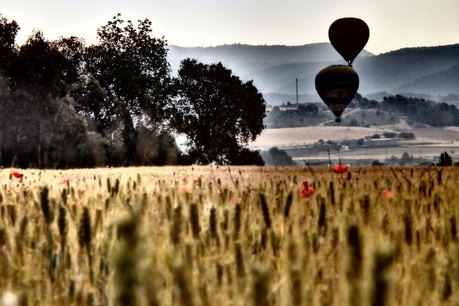 Barcelona: Montserrat Hot Air Balloon Ride with Champagne Toast - Views toward Montserrat and the Pyrenees