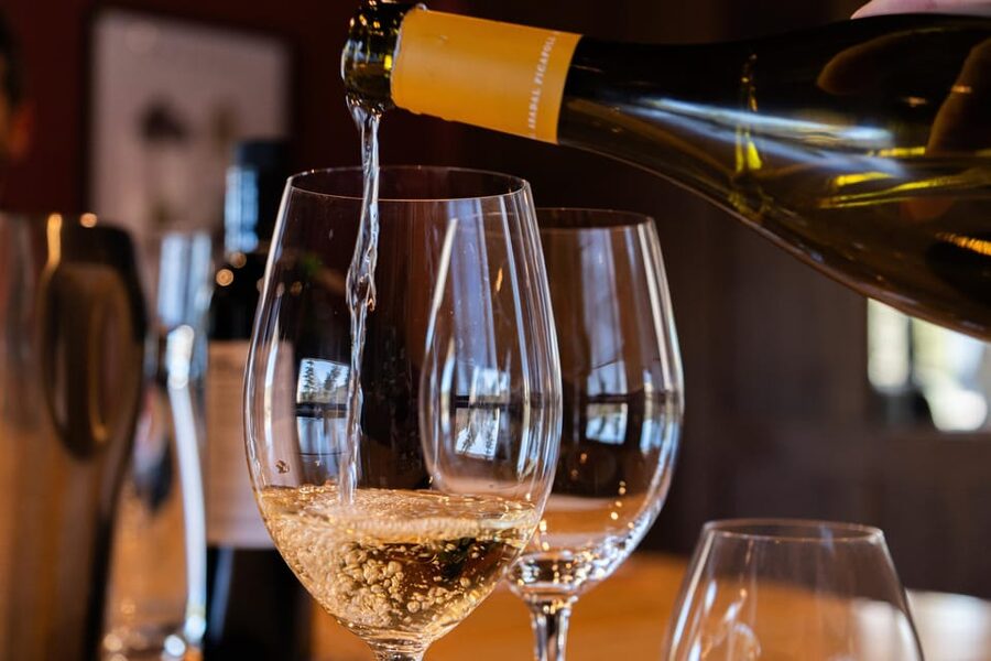 Barcelona: Montserrat, Winery Tour & Lunch with Wine Tasting - Walking among the family-owned vines