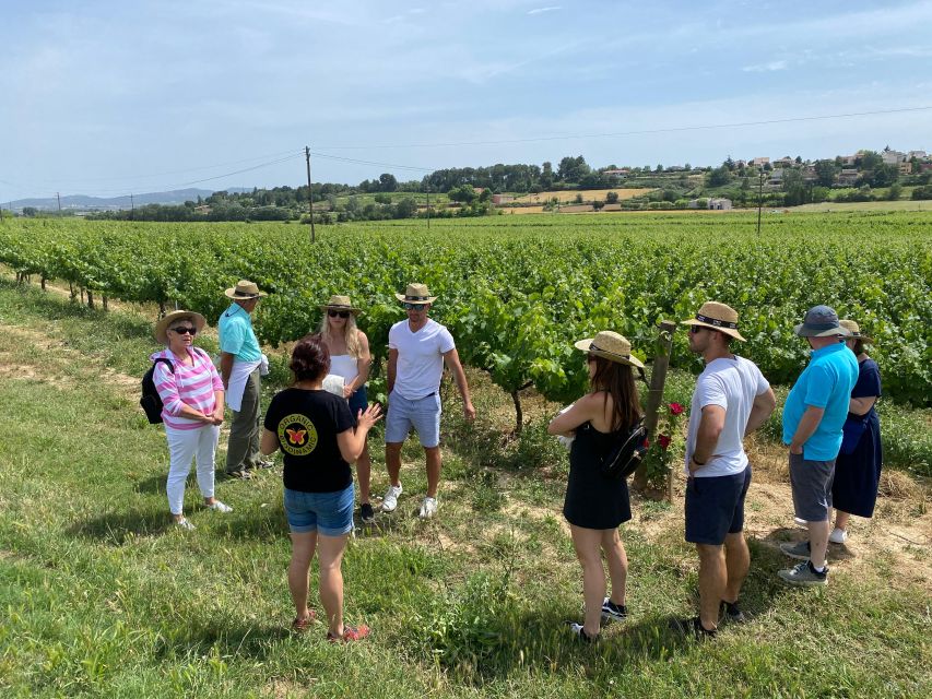Barcelona: Montserrat with Winery Visit and Farmhouse Lunch - Who should book this day out?
