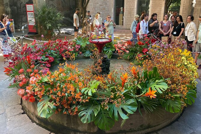Barcelona Old Town Tour With Optional Flamenco Show - Plaça de Sant Jaume and the city’s Roman frame