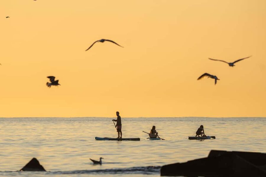 Barcelona: Paddlesurf Rental Barceloneta beach (75min) - Picking up your board near Barceloneta Beach