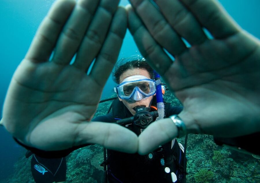 Barcelona: PADI Scuba Diver Course Certification Training - What this Barcelona scuba course really offers