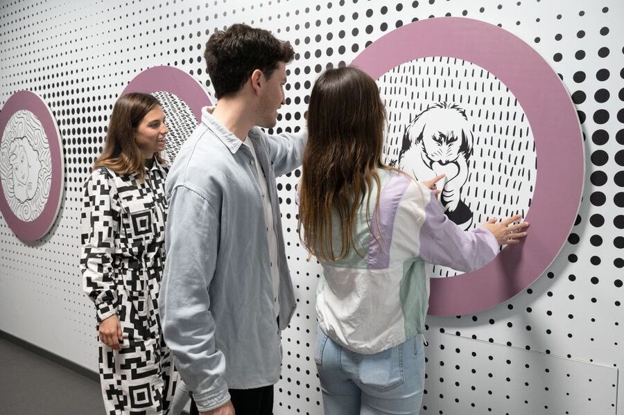 Barcelona: Paradox Museum Entry Ticket - Camouflage Room and the art of disappearing