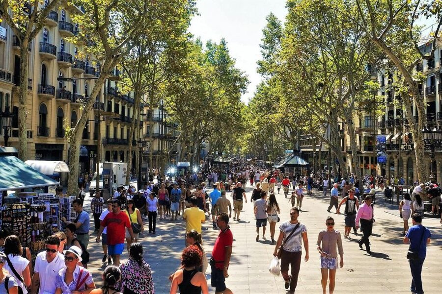 Barcelona & Park Güell: Private Half-Day Tour with Pickup - What the private format is worth