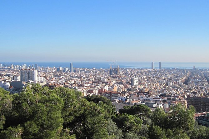Barcelona: Park Guell Skip the Line Guided Tour - Skip-the-line entry helps, but it does not remove all waiting