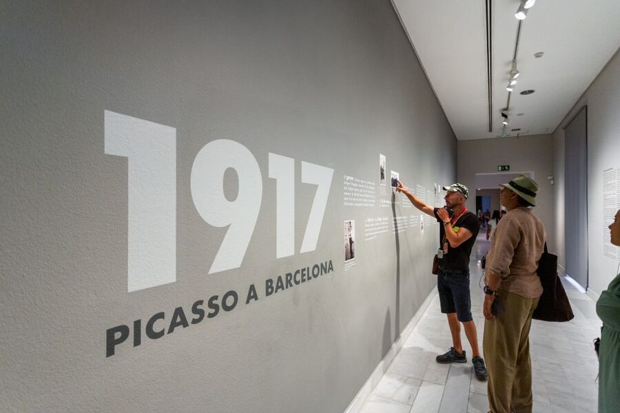 Barcelona: Picasso Museum Skip-the-Line Guided Tour - Why Picasso’s Barcelona museum works best with a guide
