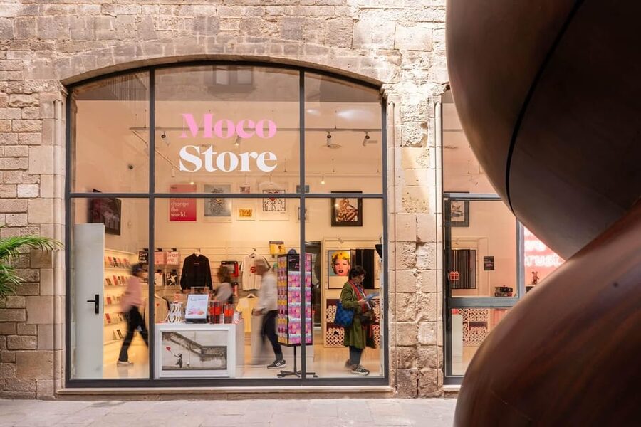 Barcelona: Picasso Museum Tour with Moco Museum Ticket - Starting at Fossar de les Moreres