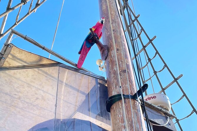 Barcelona Pirate Adventure 75min. - The Practical Concerns You Should Not Ignore