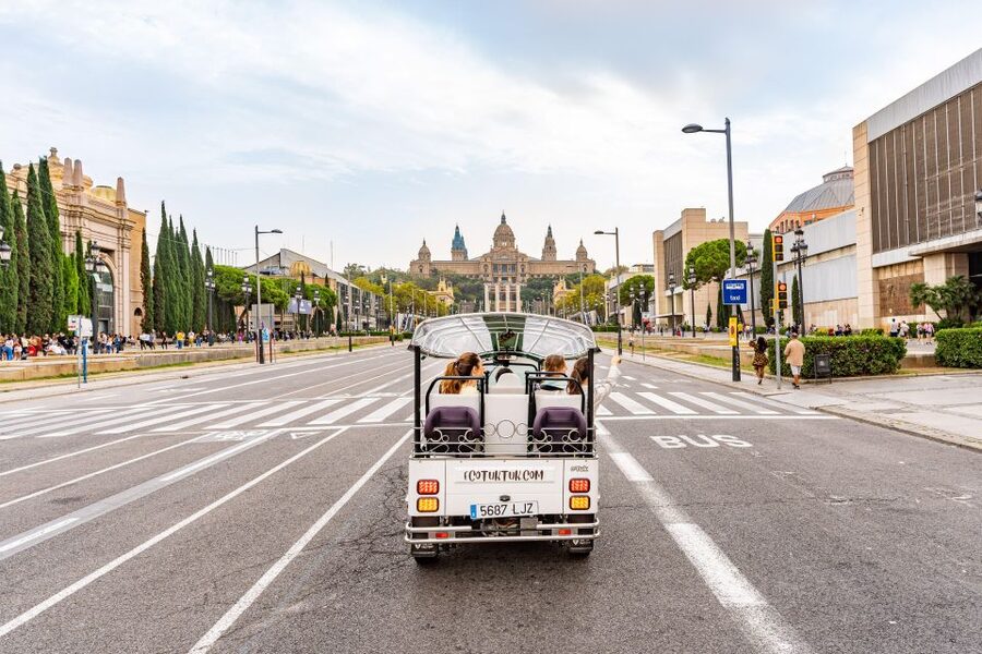 Barcelona: Private City Tour by Eco Tuk Tuk - Port Vell, Ciutadella Park, and the waterfront