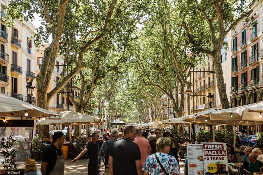 Barcelona: Private Custom Tour with a Local – Icons & Gems - A café or market stop adds a useful local pause