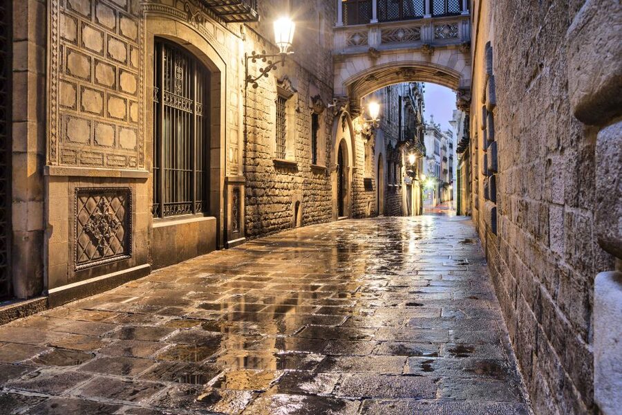 Barcelona: Private Custom Tour with a Local – Icons & Gems - The guides bring different strengths
