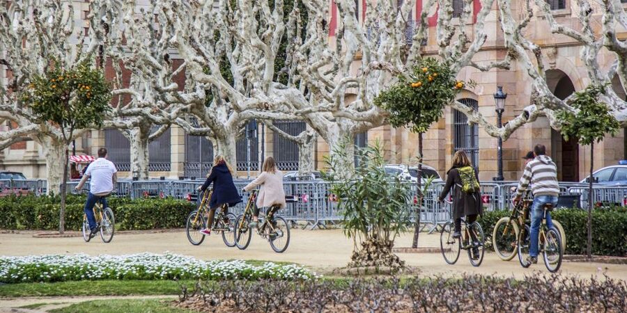 Barcelona: Private Highlights Tour by Bamboo Bicycle - Olympic Village and the Mediterranean Waterfront