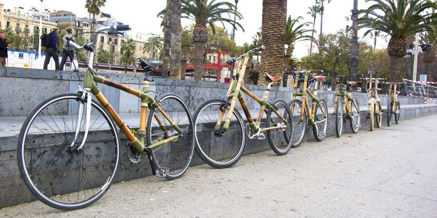 Barcelona: Private Highlights Tour by Bamboo Bicycle - Ciutadella Park and Arc de Triomf