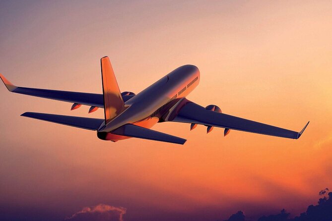 Barcelona Private Transfer from Cruise Port to Airport - The important limit: seven people and ordinary luggage