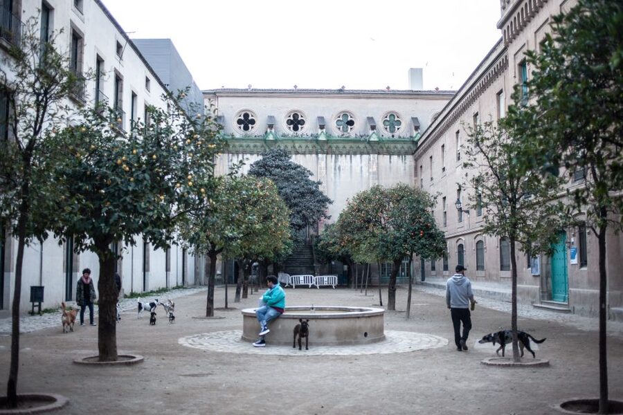 Barcelona's Dark History Walking Tour in El Raval - Medieval lanes and the Keith Haring AIDS mural