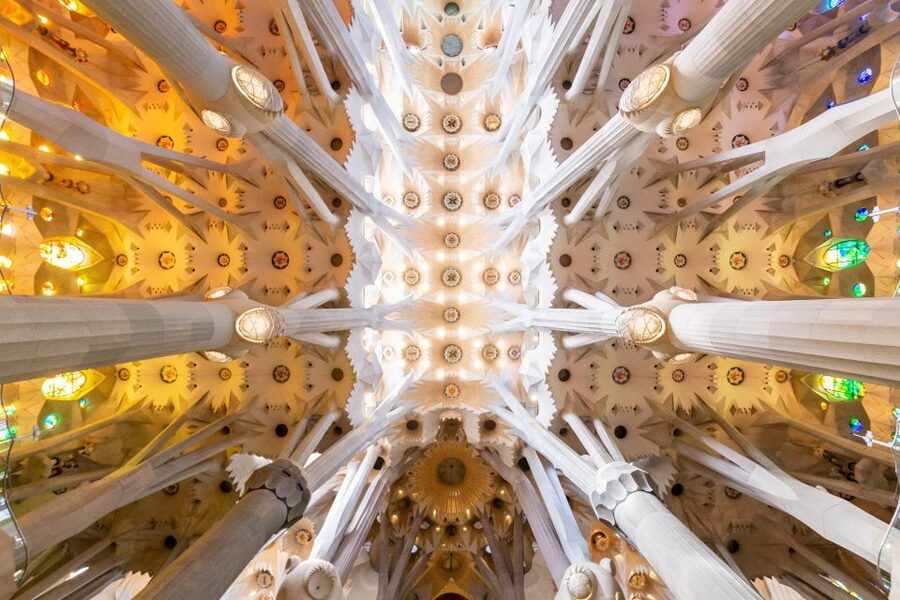 Barcelona: Sagrada Familia and Park Guell Combo Guided Tour - Why the guide changes the experience