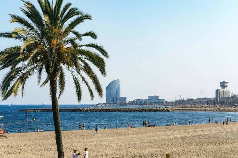 Barcelona: Sagrada Familia or Coastal City Sights by eBike - Bikes, comfort, and family details