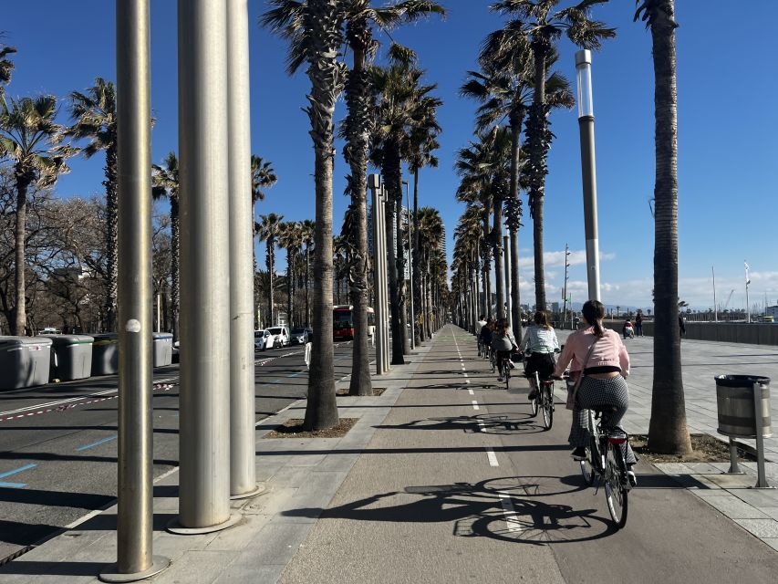 Barcelona: Sagrada Familia Private E-Scooter Tour - Guide service, languages, and photos