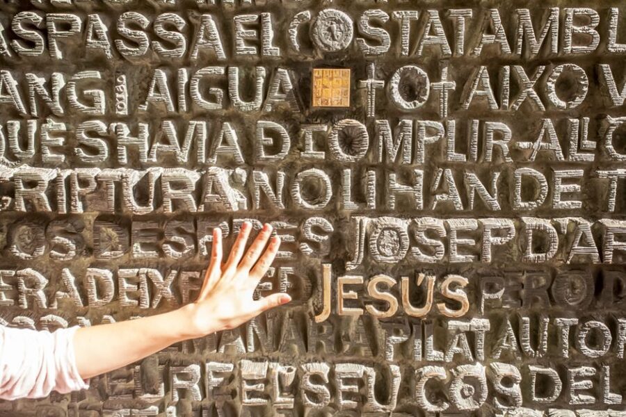 Barcelona: Sagrada Familia Tour with Optional Tower Access - Price and value at $99