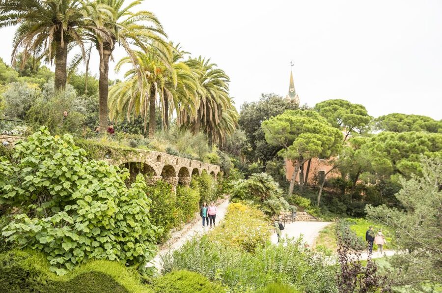 Barcelona: Sagrada Familia with Towers and Park Güell Tour - Tower views and the climb back down