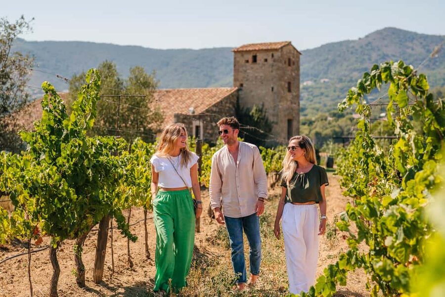 Barcelona: Sailing Cruise & Vineyard Tour with Wine Tasting - Should you book the Barcelona sailing and winery tour?