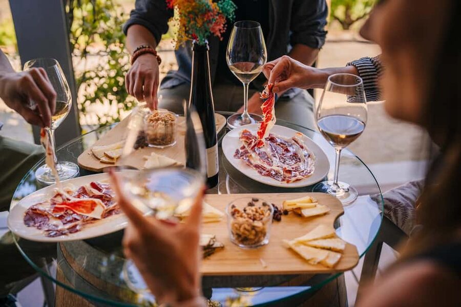 Barcelona: Sailing Cruise & Vineyard Tour with Wine Tasting - What rough water means for your day