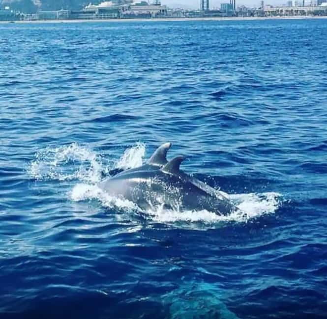 Barcelona: Sailing tours con capitán local, bebidas y snacks - Key points at a glance
