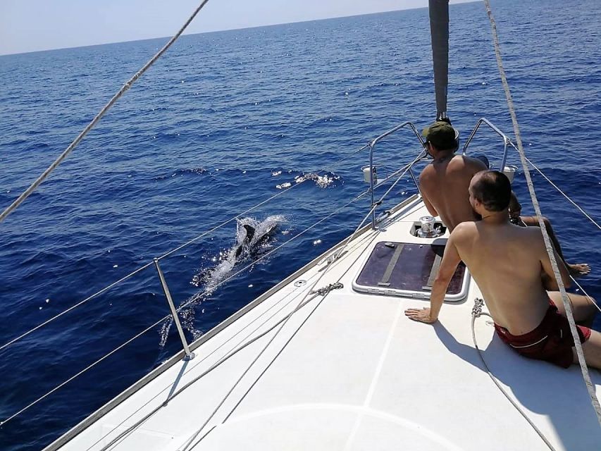 Barcelona: Sailing Trip with Drinks and Snacks - What the 90 minutes actually look like