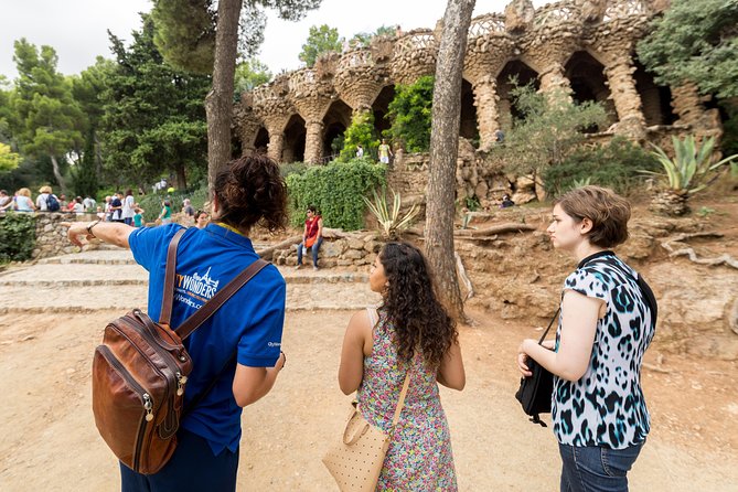 Barcelona: Skip-the-Line Gaudi's Park Guell Guided Tour - Why a Guide Helps at Park Güell
