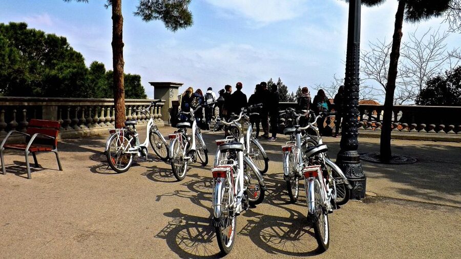 Barcelona: Small Group or Private Bike Tour - Guide quality and the value of a private group