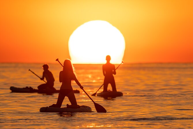 Barcelona: Sunrise Paddle Surf with Instructor and Photos - Group size, timing, and the quiet-neighborhood issue