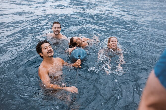 Barcelona Sunset Cruise with Open Bar of Cava and Snacks - The Captains Can Shape the Whole Experience
