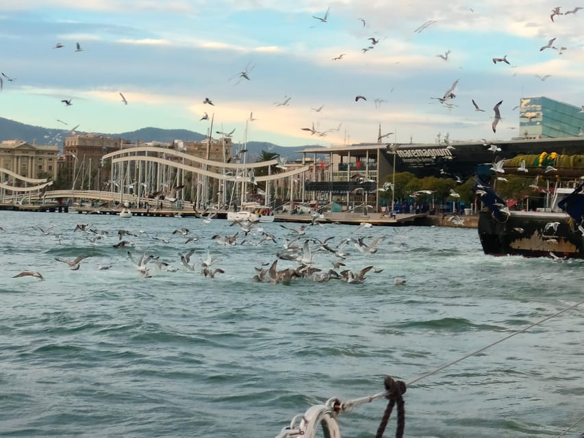 Barcelona: Sunset Cruise with Snacks and Drinks - Key points to know before you sail