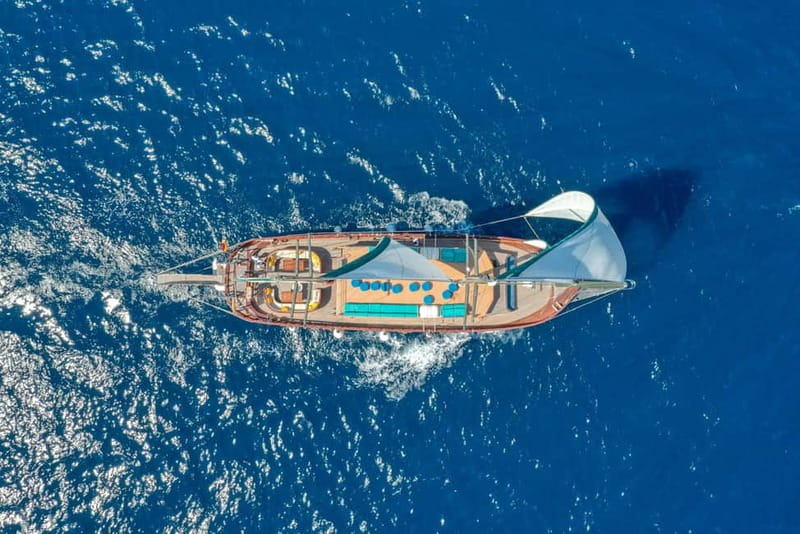 Barcelona: Supercar Driving & Boat Experience - Choosing the right car